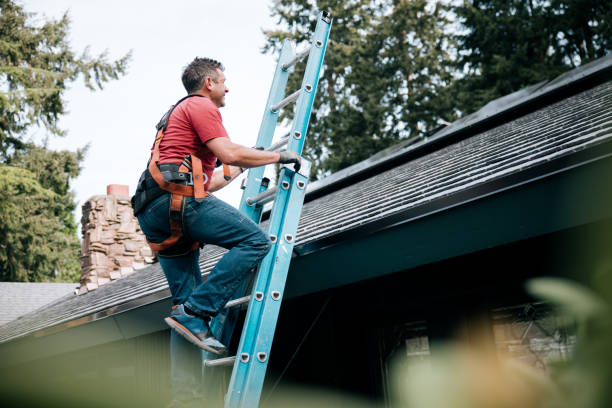 Best Siding  in Encinitas, CA